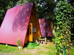 Summer house for 4 people close to the sea, Łazy